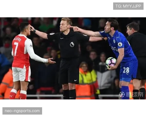 掷界外球的规则要点与裁判判罚标准详解